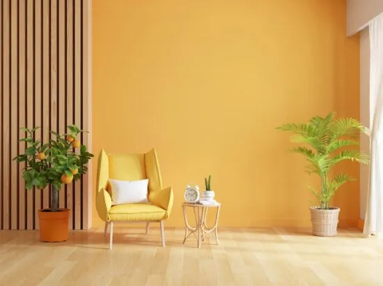 Aplikasi Decorative Coating